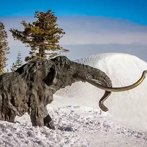 https://la-vista-blanc-19.mammothlakeshotels.org